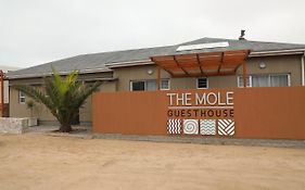 The Mole Guesthouse