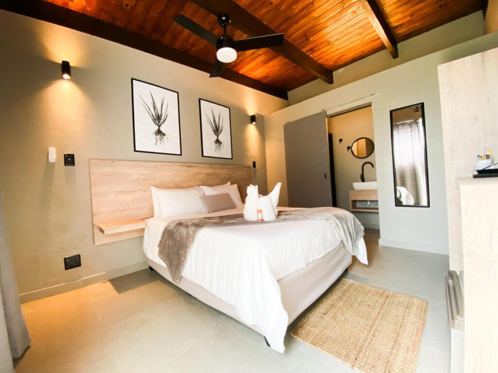 The Mole Guesthouse ซวาคอปมุนด์ ภายนอก รูปภาพ
